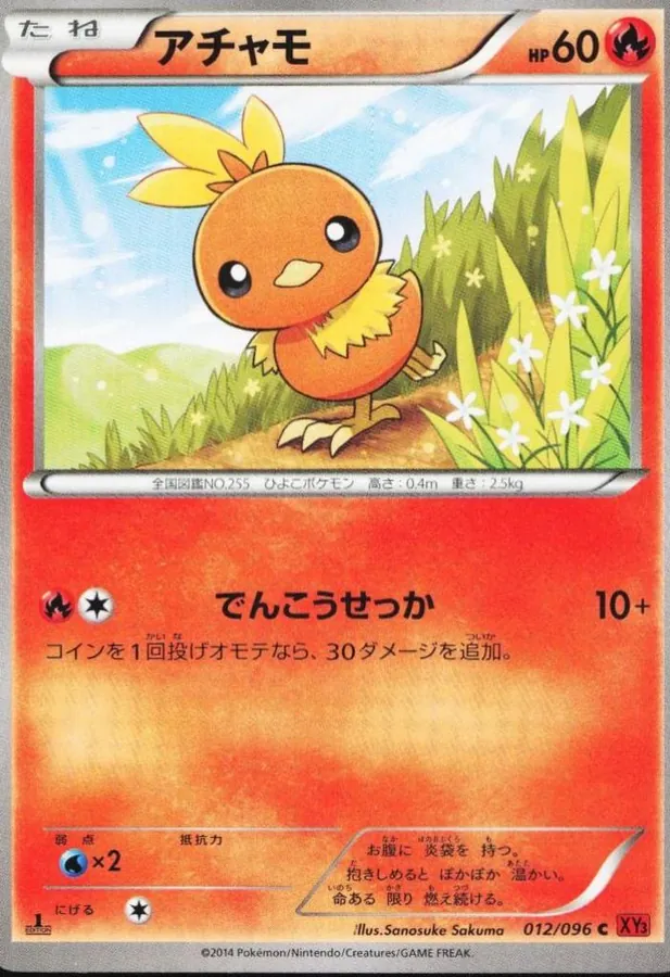 Torchic [1st-Edition]